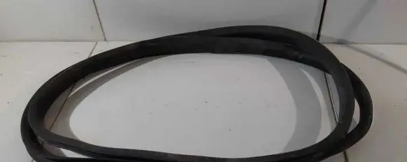 Renault Zoe Rubber seal front door (on door) 
