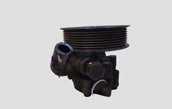 Land Rover Range Rover Sport L320 Power steering pump QVB500400