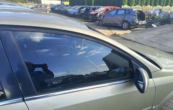 Opel Signum Front door trim (molding) 