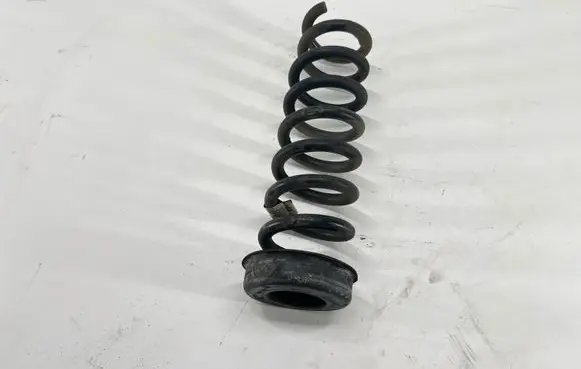 Rear coil spring