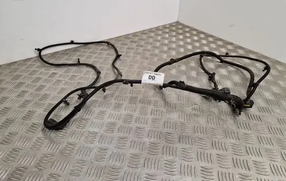 Other wiring loom