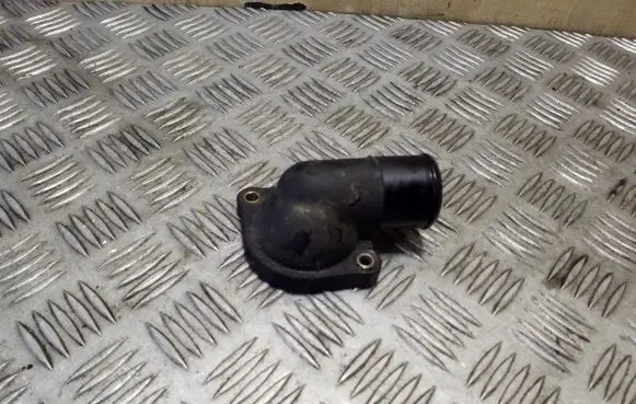Thermostat/thermostat housing