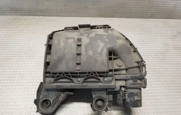 Citroen Berlingo Air filter box 9677080980