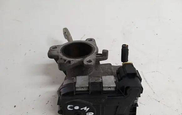 Throttle body valve
