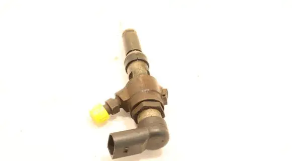Citroen C3 Fuel injector