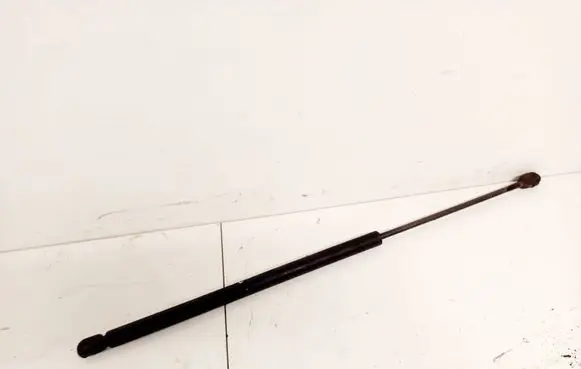Tailgate/trunk strut/damper
