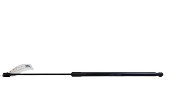 Ford C-MAX II Tailgate/trunk strut/damper AM51R406A10AB