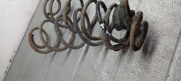 Citroen C3 Rear coil spring