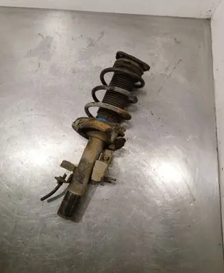 Front shock absorber with coil spring