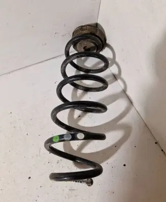 Rear coil spring