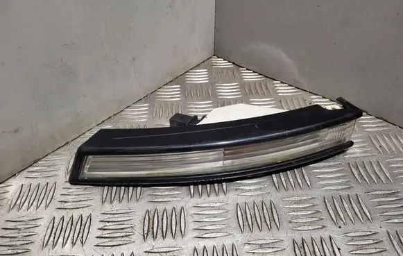 Volkswagen PASSAT B6 Front indicator light 010118031