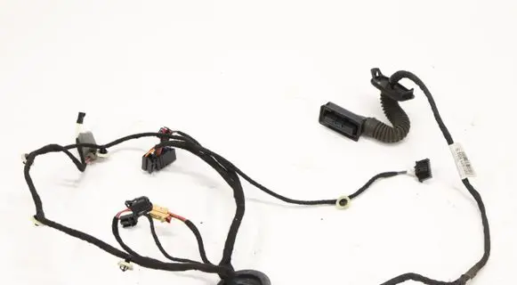 Skoda Superb B8 (3V) Other wiring loom 3V0971694S