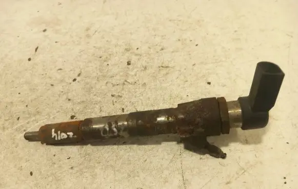 Renault Laguna III Fuel injector 166006212R
