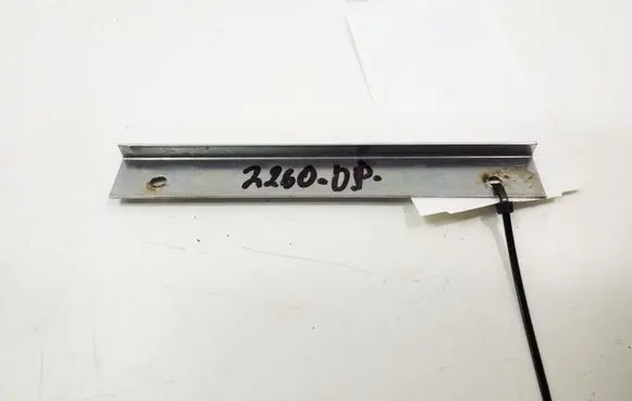 Other front door trim element