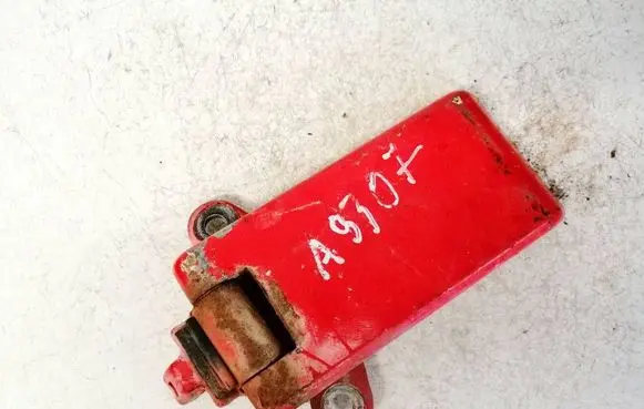 Rear door lower hinge