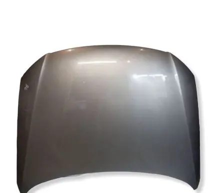 Volkswagen PASSAT B6 Engine bonnet/hood 
