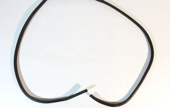 Nissan Juke II F16 Front door rubber seal