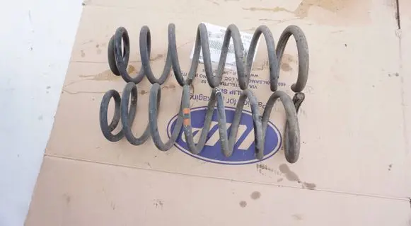 Rear coil spring