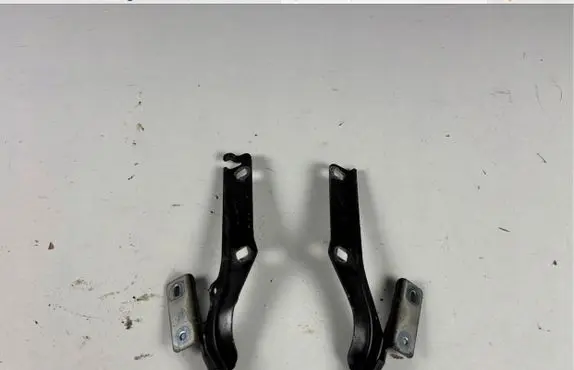 Citroen Berlingo Engine bonnet/hood hinges 