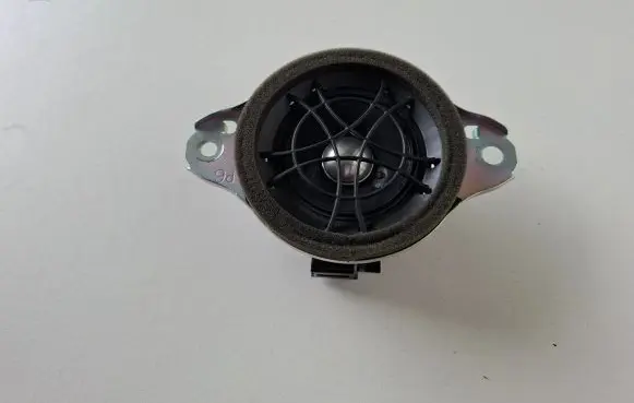 Panel speaker