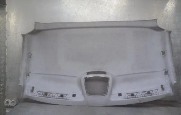 Mercedes-Benz Sprinter W906 Headlining A9066908250