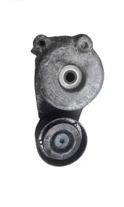 Mercedes-Benz CLS C219 Alternator belt tensioner A6422001370