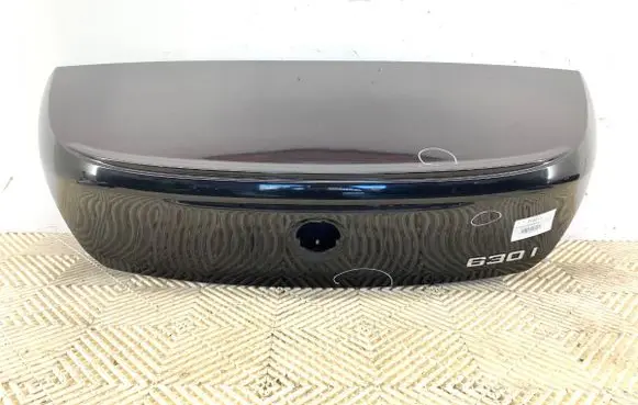 Tailgate/trunk/boot lid