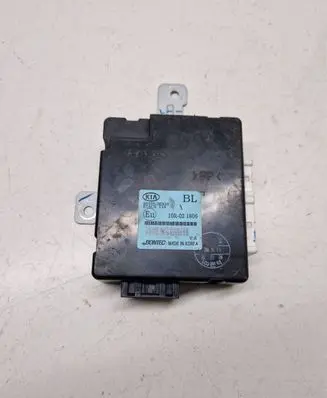 KIA Sorento Other control units/modules 954003E310