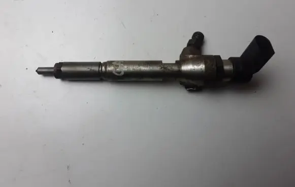 Nissan Qashqai Fuel injector H8200294788