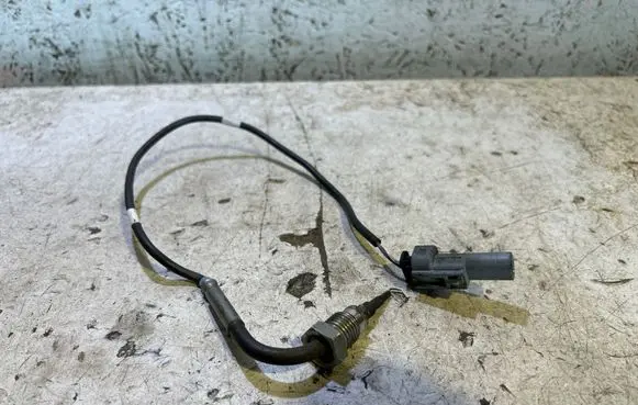 Exhaust gas temperature sensor