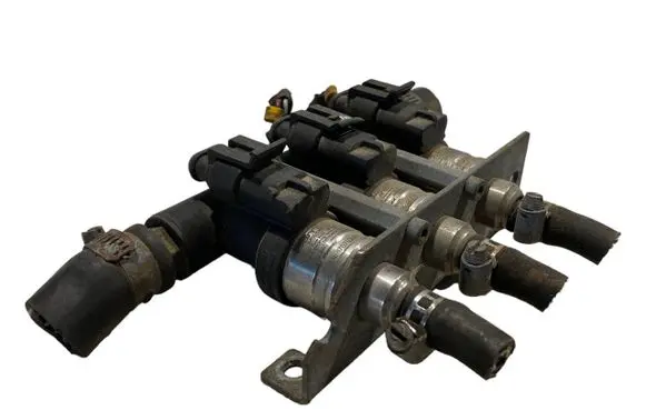 Volkswagen Phaeton LP gas injector 67R016409 110R006410