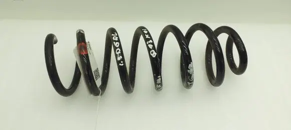 Nissan Qashqai Rear coil spring