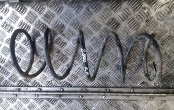 Front coil spring