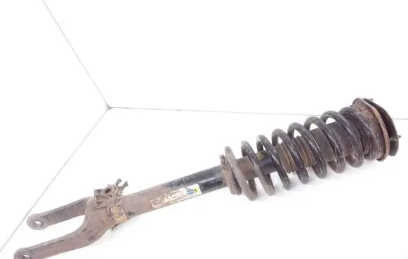 Mercedes-Benz R W251 Front shock absorber with coil spring 24166607