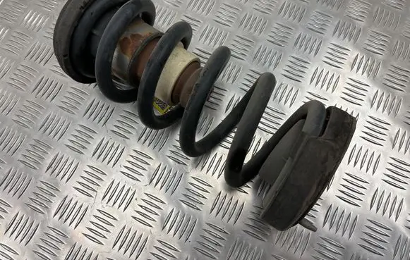 Rear coil spring