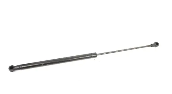 Tailgate/trunk strut/damper