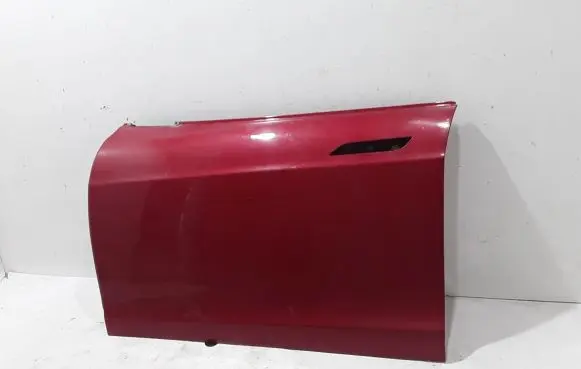 Tesla Model S Front door 6006662