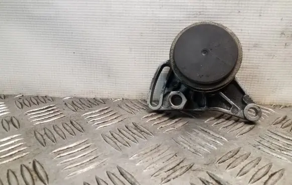 Volkswagen PASSAT B5 Air conditioning tensioner F230875