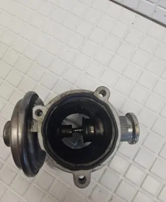 EGR valve