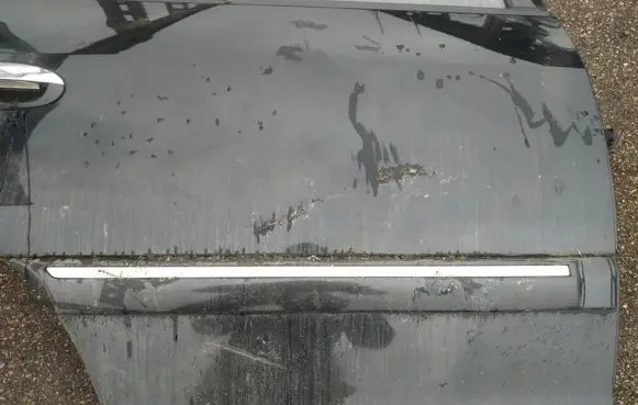 KIA Carens I Rear door trim (molding)