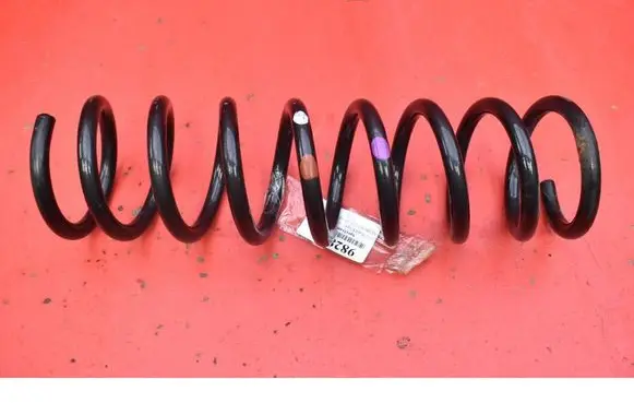 Rear coil spring