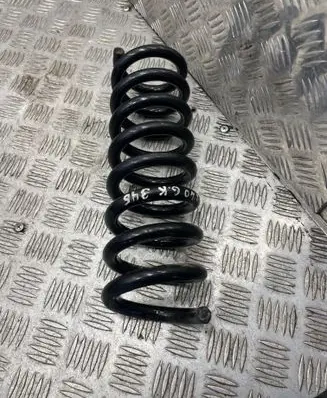 Rear coil spring