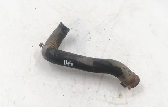 Renault Scenic I Engine coolant pipe/hose