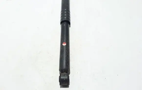Renault Zoe Rear shock absorber/damper 562102552R