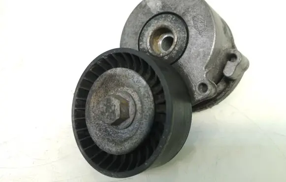 Peugeot Expert Generator/alternator belt tensioner 634846