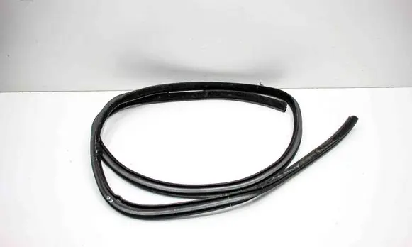 Chrysler 300C Rubber seal rear door 