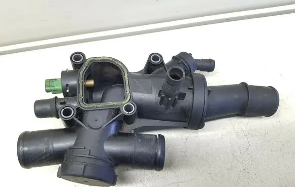 Thermostat/thermostat housing