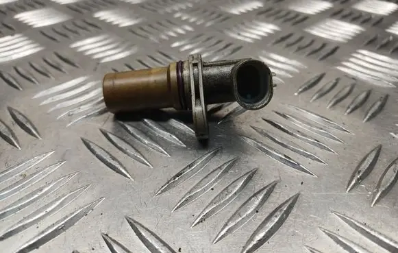 Opel Insignia A Crankshaft position sensor 46798345