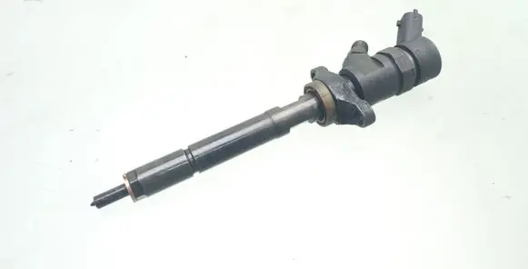 Citroen C5 Fuel injector 0445110188 892080