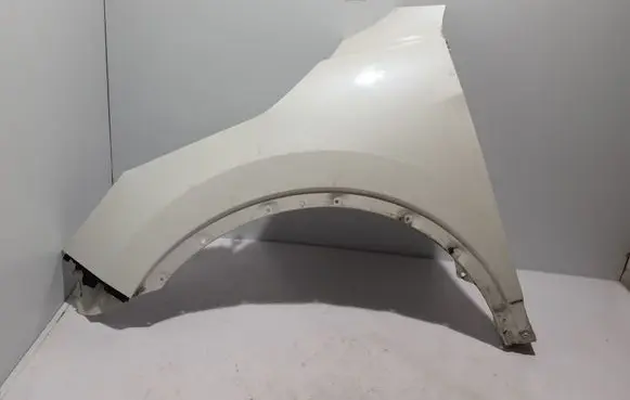 Nissan Qashqai Fender F31014EAMB